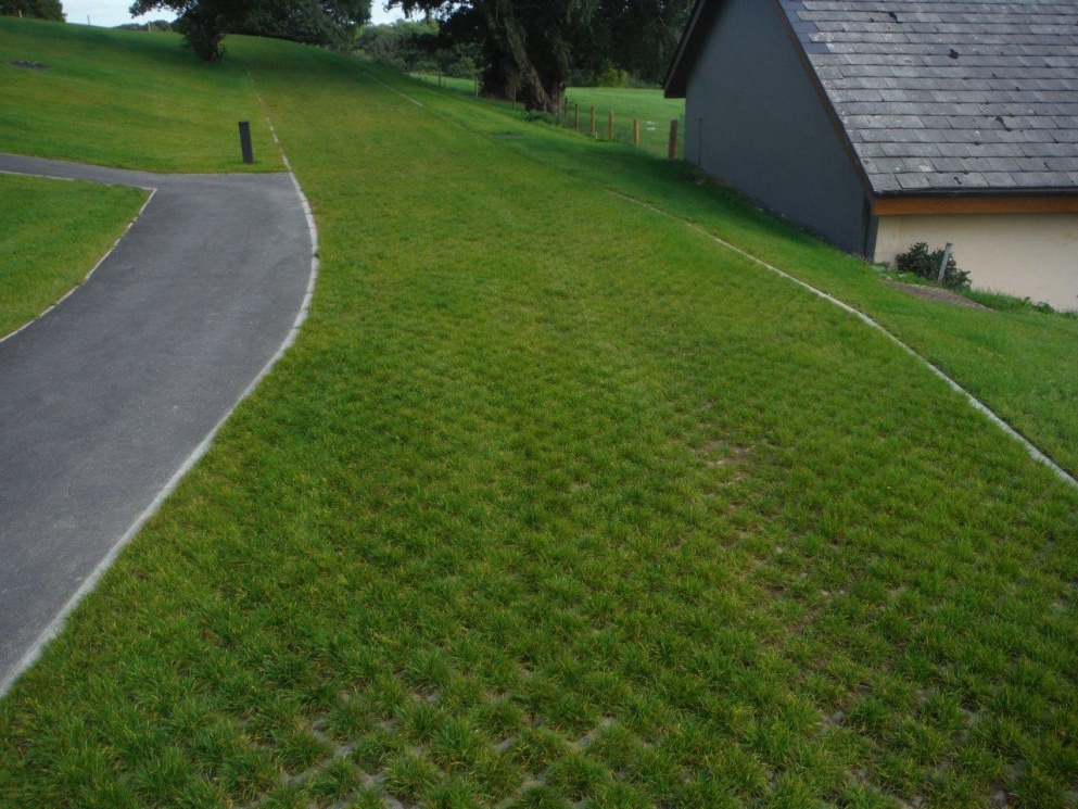 You can see the reinforced grid that allows the grass to withstand the car’s weight. Source: Architect’s Datafile