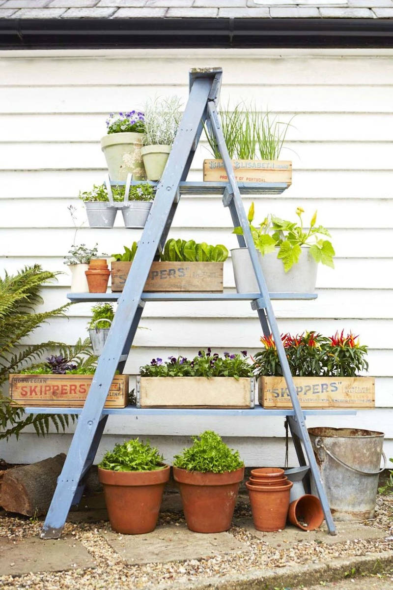 ladder garden