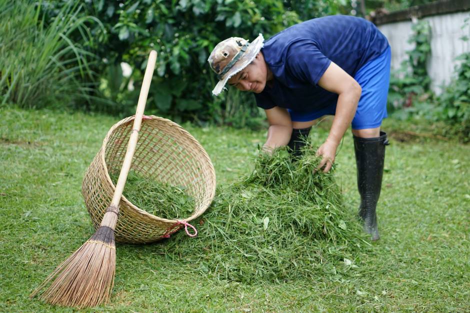 Man removing weeds