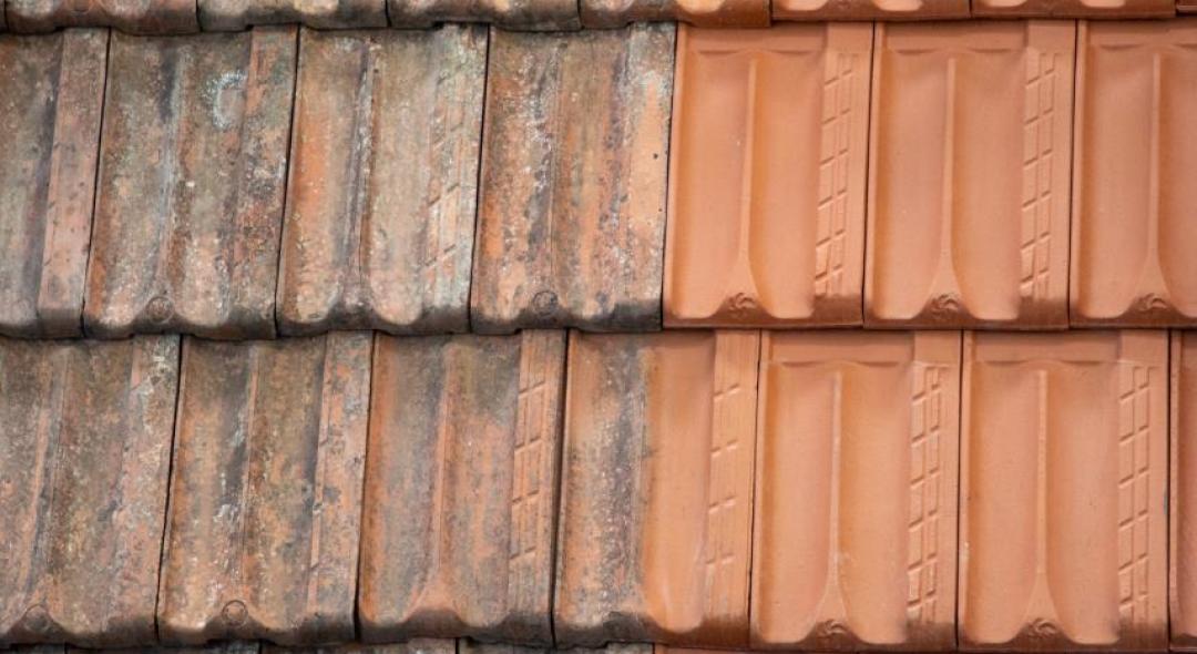 7 Basic Steps On How To Clean A Roof