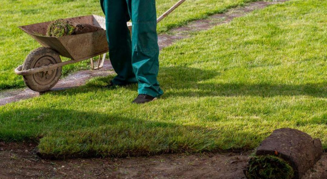 Can You Lay Sod Over your Existing Lawn?