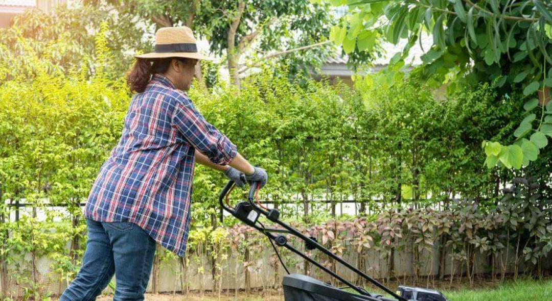9 Steps For A Complete Spring Lawn Care