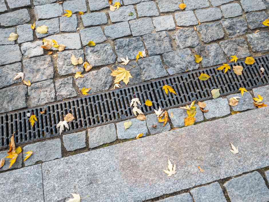 Autumn leaves scattered over the sidewalk drain