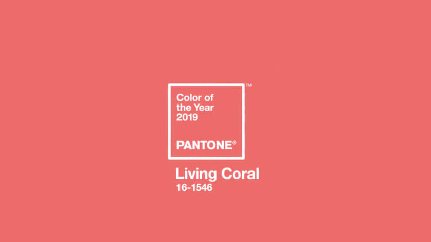 A vivid and welcoming color to bring the best out of 2019.