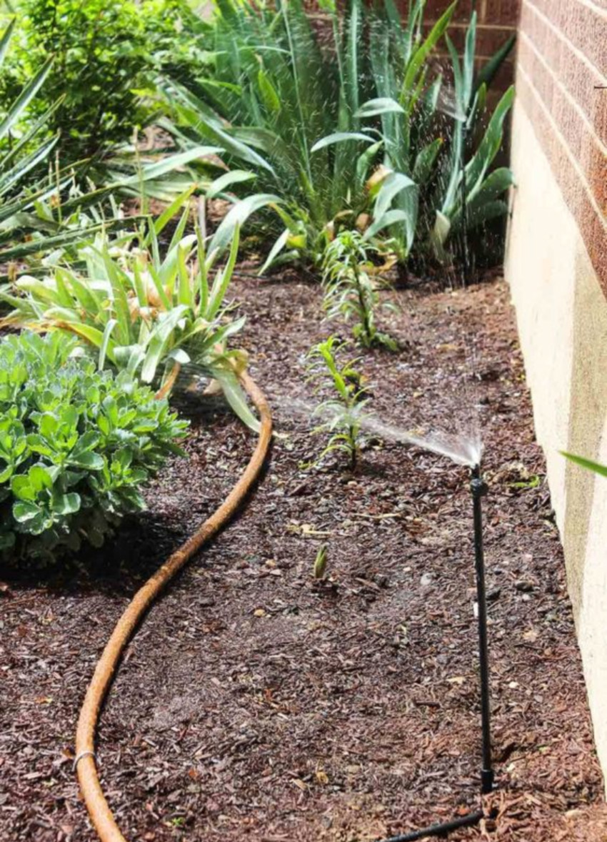 Get a good, water-saving irrigation system.