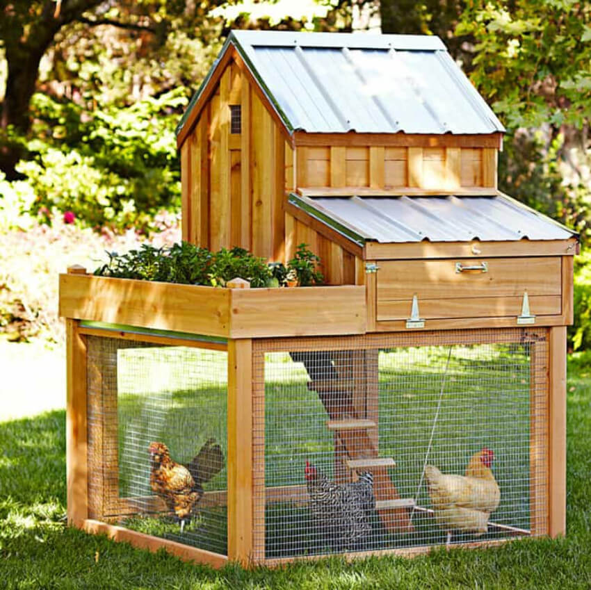 A chicken coop may seem simple to build, but a pro will be more efficient.