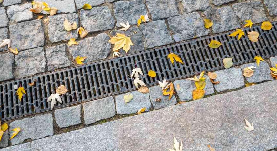 How To Clear Your Drain From Leaves In Fall?