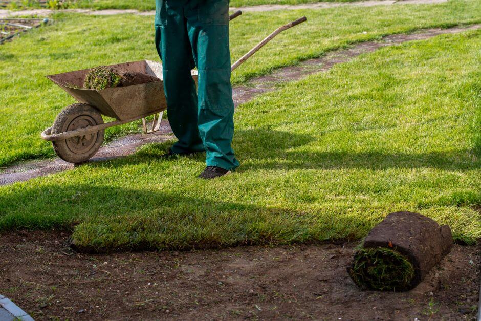 Lay sod over existing lawn