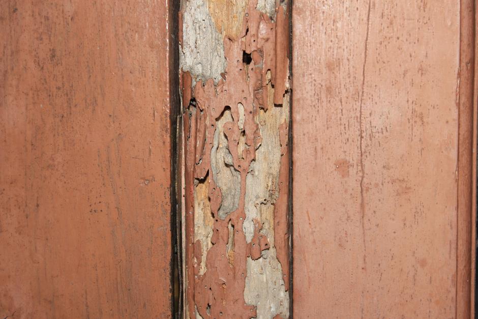 Wooden wall with damage caused by termites