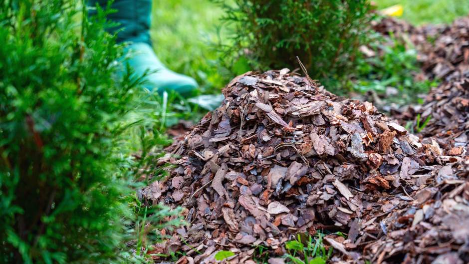 A picture of a mound of mulch close to a persons foot