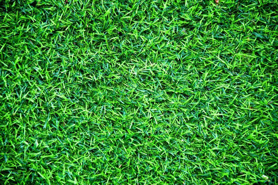 Artificial synthetic turf grass lawn low maintenance landscaping