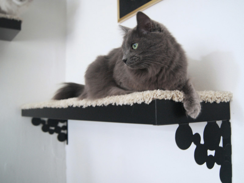 DIY Cat Tower: Turn a Shelf Into Your Cat’s Master Suite