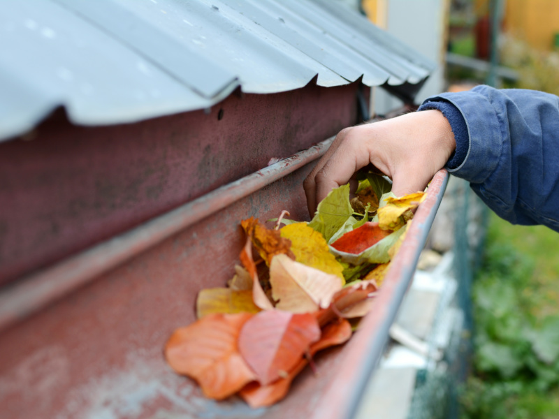4 Reasons Why You Should Clean Your Gutters This Season