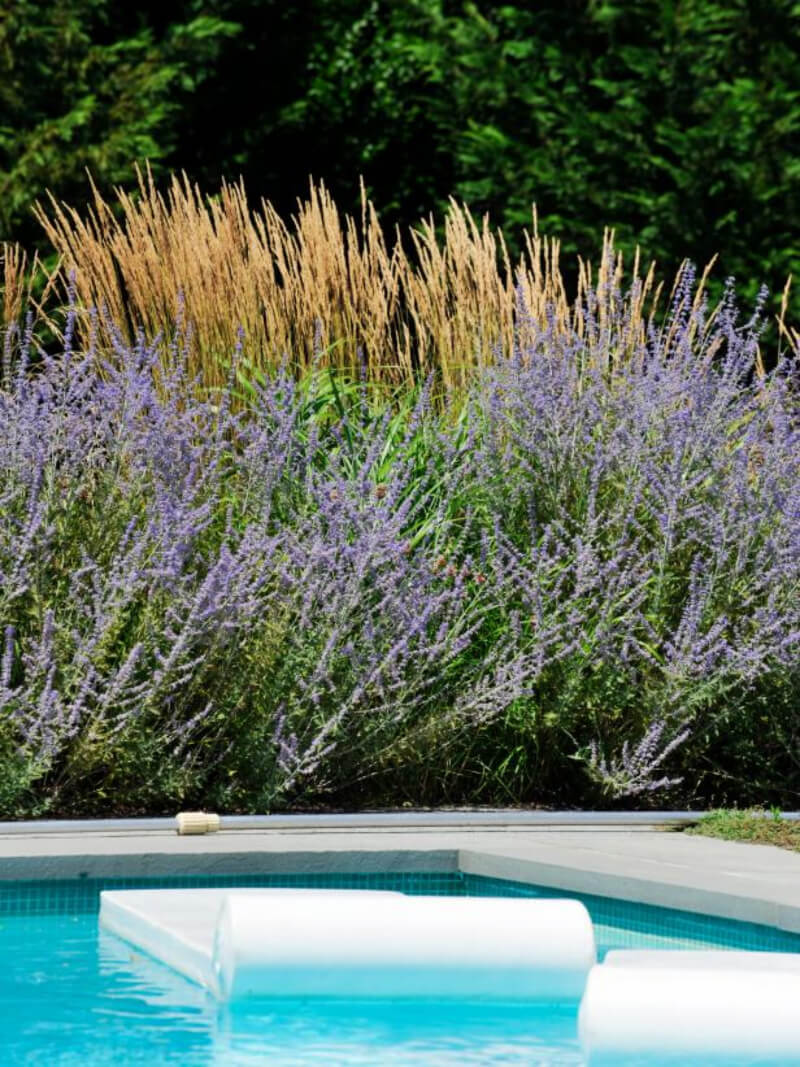 Lavender will lend a great aroma for the area. Source: DIY Network