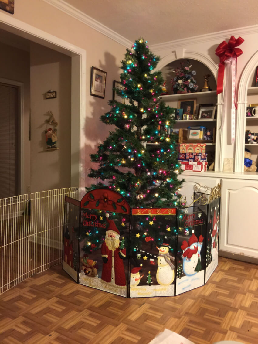 The right baby’s playpen can help protect your tree. Source: C. Alexander