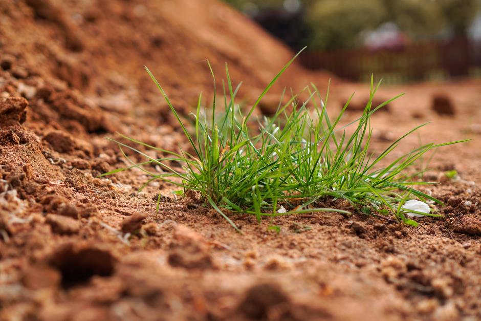 Improve drainage clay soil lawn