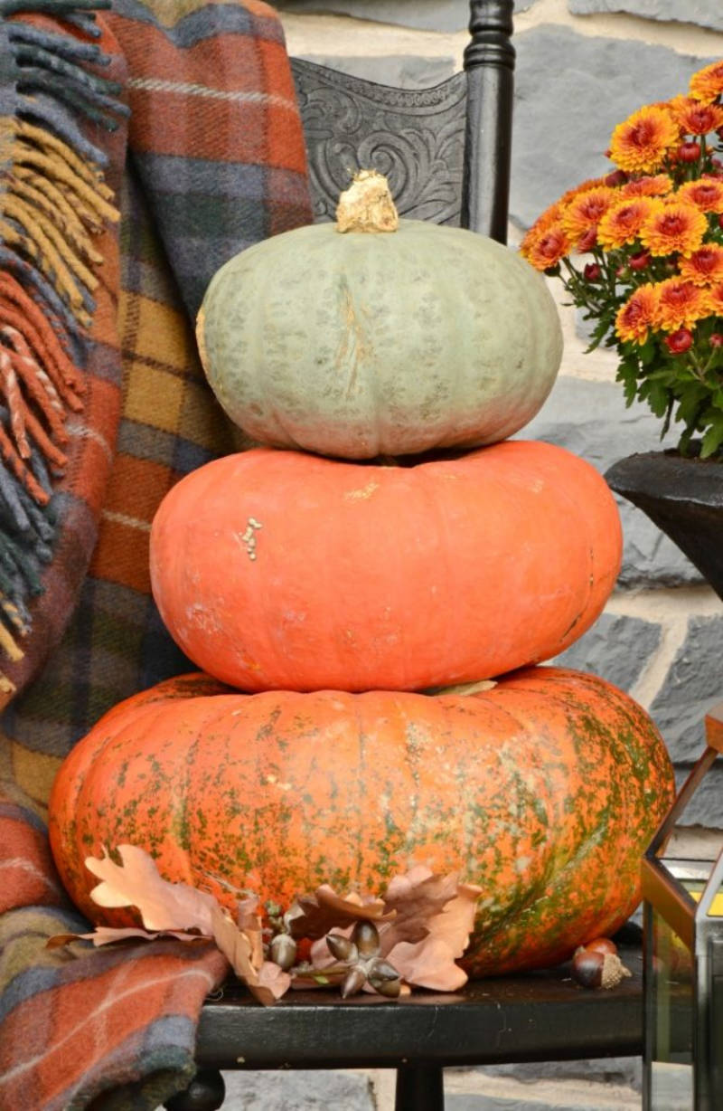 Decorate with pumpkins in their purest form. Source: StoneGable