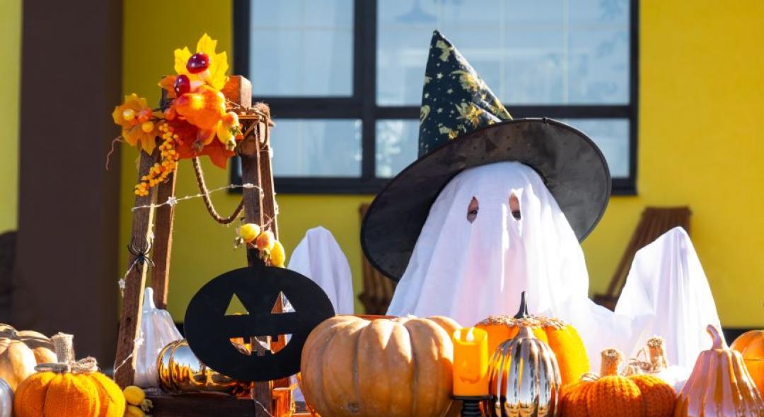 19 Spooktacular Halloween Landscape Ideas To Use