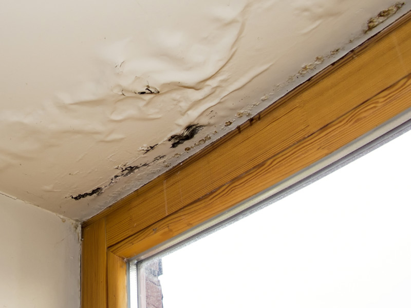 How To Avoid Water Damage In Your Home