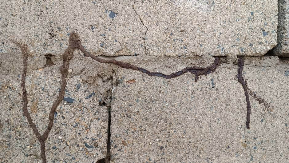 Wall with cracks caused by termites