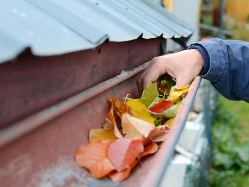 6 Quick Home Maintenance Tips for Fall