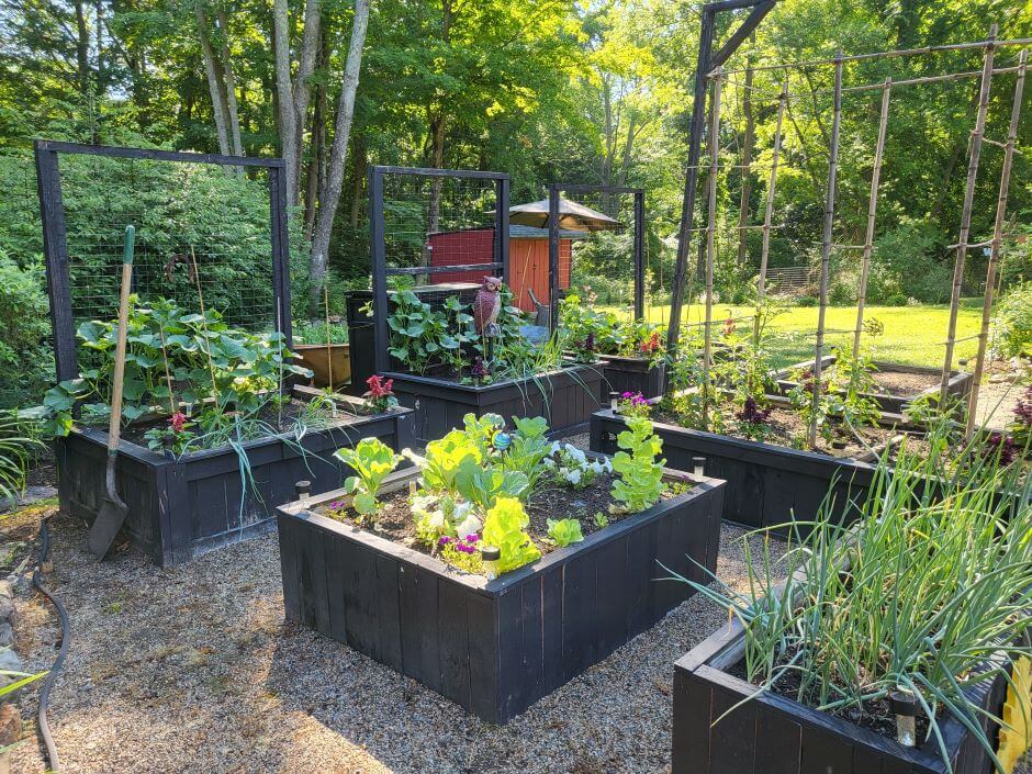 Why raised beds