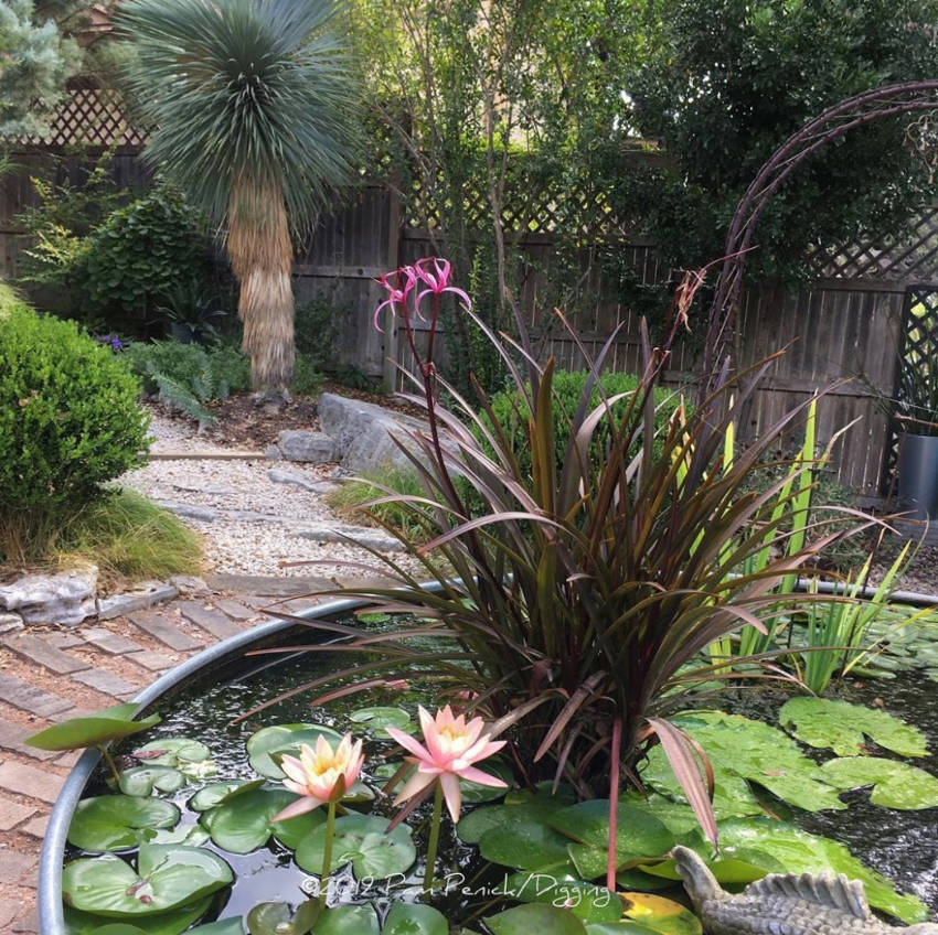 A pond is a great addition to a nature-loving homeowner’s backyard. Source: Instagram