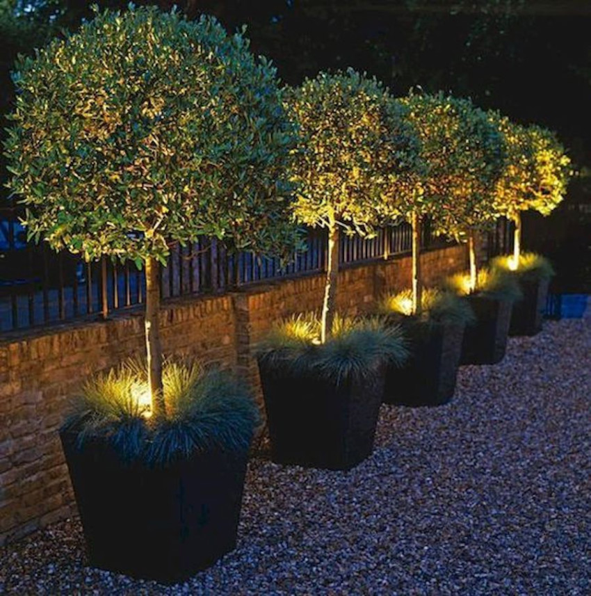 Invest in lighting ideas to complete your landscape design.