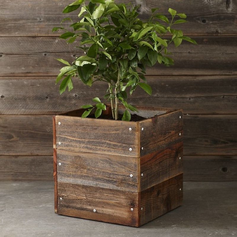 Planters are great for beginners in DIY. Source: Home Crux