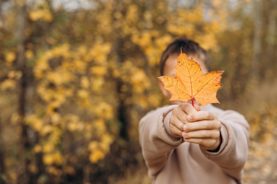 Boy holding an autumn leaf symbol