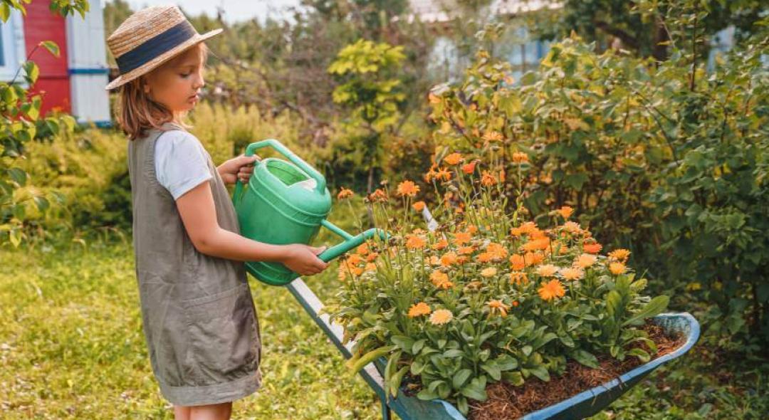 Watering Plants In Fall: 5 Best Practices To Do