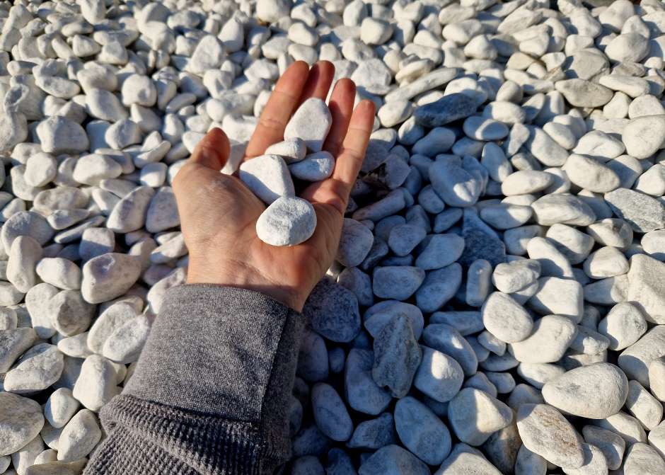 Photo of someone holding a few white rocks from their own garden