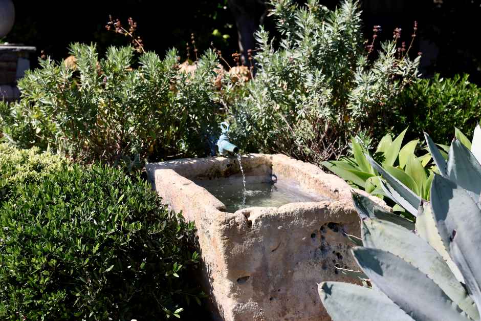 A natural looking water fountain surrounded by plants within a garden
