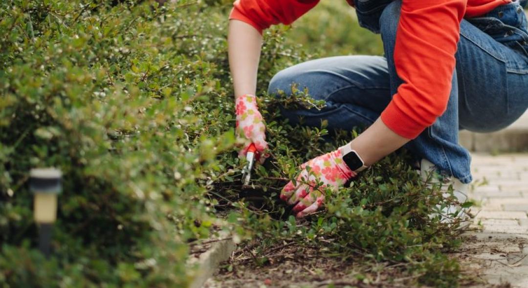 13 Pro Spring Landscaping Tips For Yard Clean-Up