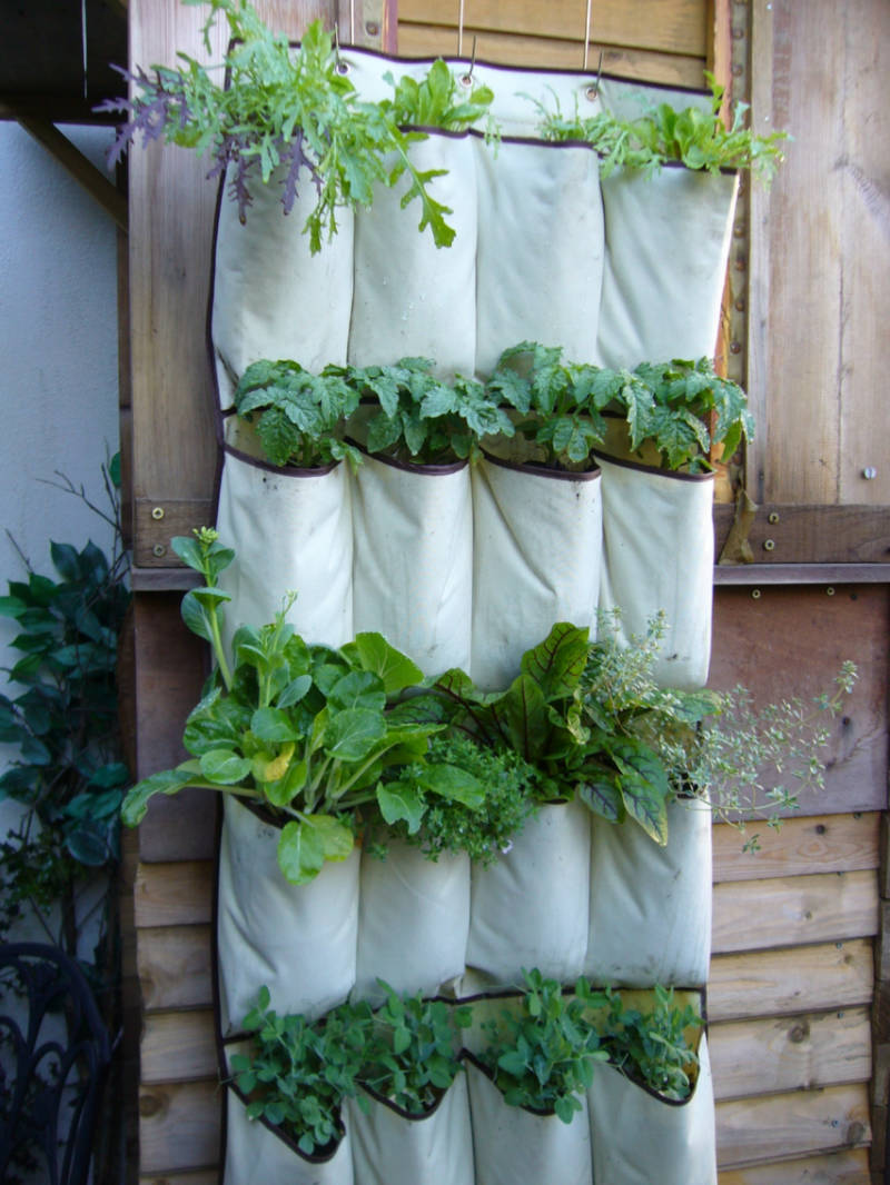 A minimal herb garden that’s very easy to set up. Source: Instructables