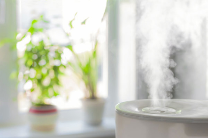 A humidifier is great for winter season. Source: Jean Coutu